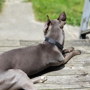 Meet your Posher, Lynn